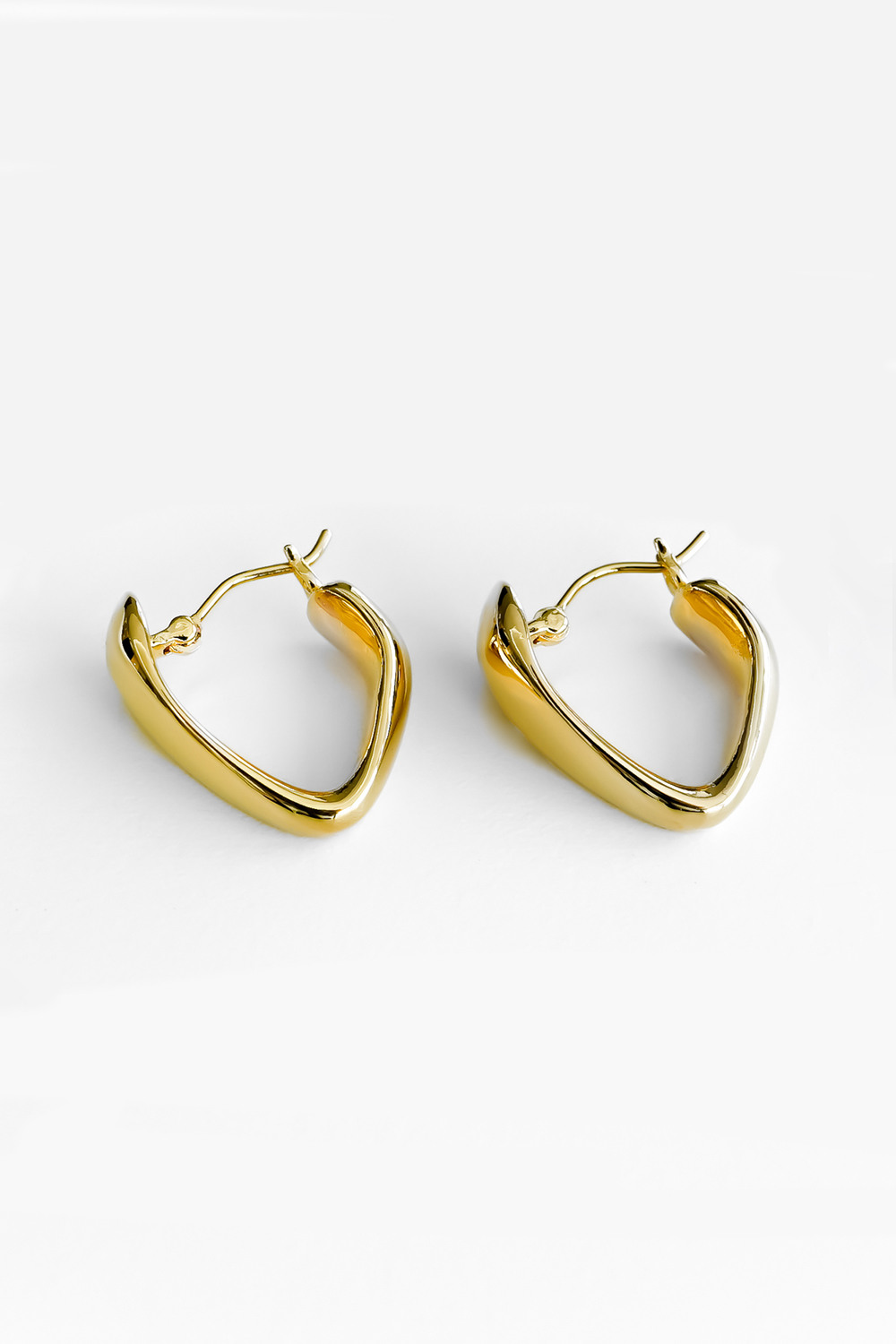 VG_FLAT HOOP EARRING2