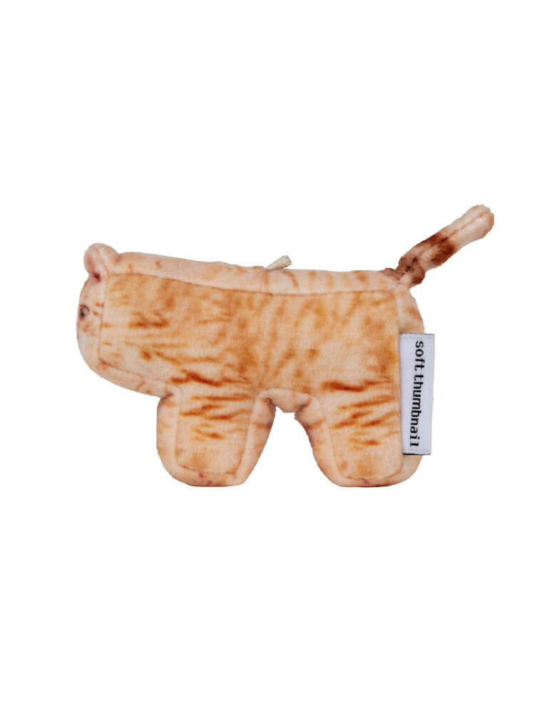 【SOFT THUMBNAIL】 Cheese, Domestic Shorthair SOFT THUMBNAIL Cheese, Domestic Shorthair | International Store